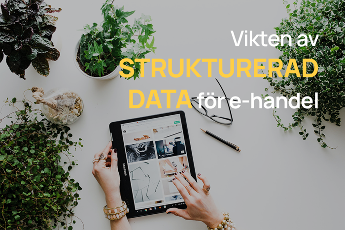 Strukturerad data för e-handel