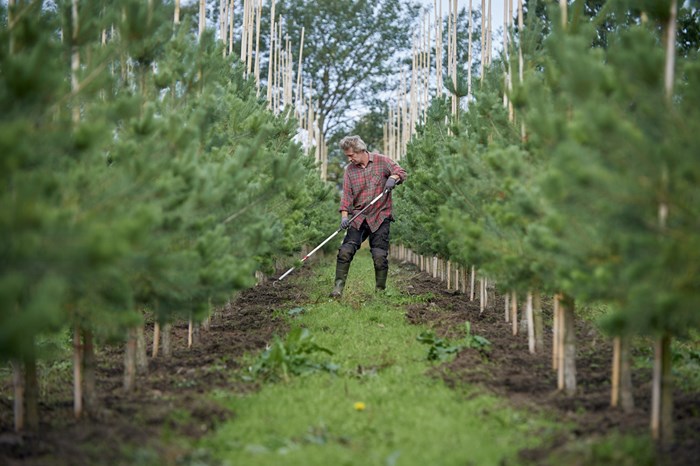 Motillo vinner uppdraget som ny e-handelspartner till Splendor Plant